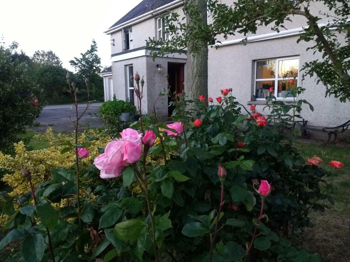 Bed and Breakfast Lisieux House On Lough Neagh Aghalee Esterno foto